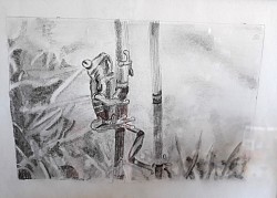 Kikker in het riet (kader 24.5*33.5)