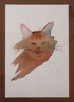 Chat roux (kader 30*40)