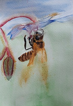 De oogst (kader 24.5*33.5 )