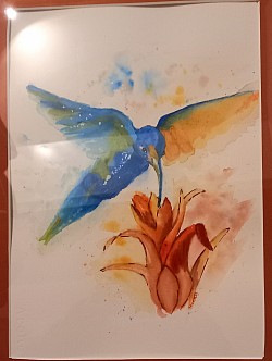 Kolibri ( kader  53*43)