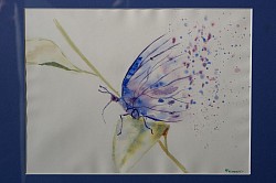 Blauwe vlinder (kader 30*22)