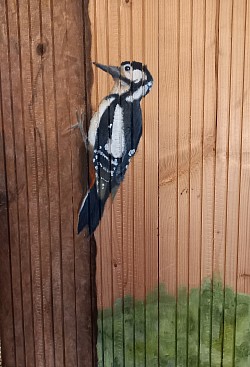 Bonte specht (40*60)