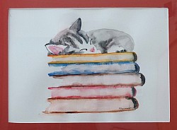 Slapende poes  ( kader 40*50)