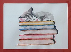 Slapende poes  ( kader 40*50)  ⭐