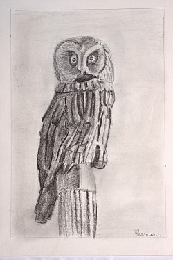 Pajala uggla (26*17))